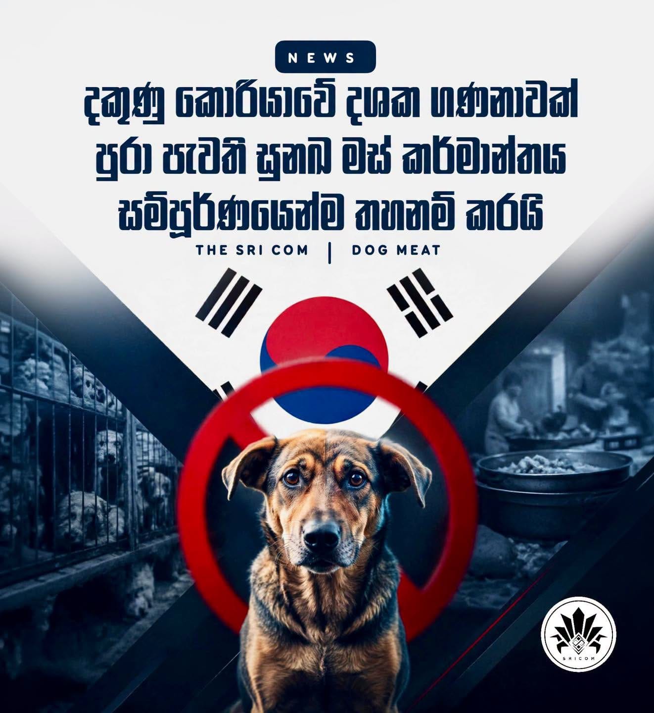 South Korea is fully banning dog meat by February 2027 with over 82% of farms already shut down