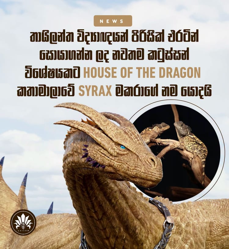 Scientists in Thailand have named a newly discovered lizard after Syrax from House of the Dragon